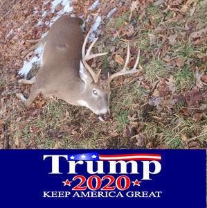 Meet your Posher, Tom